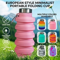 Bouteille d'eau pliable en silicone sans BPA, personnalisée, portable, 500 ml, arc-en-ciel, pour le sport et les voyages