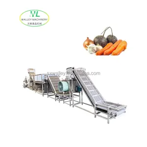 China Hot Air Dryer Dehydrator Processing Line For Carrot Potato Onion Garlic Ginger Beetroot