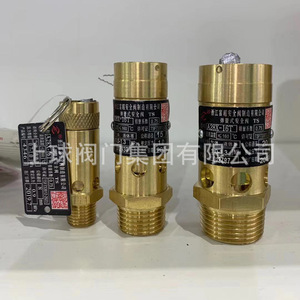Válvula de seguridad con resorte A28X-16T, elevación completa, roscada, totalmente de cobre, para alivio de presión en compresores, cilindros de aceite y gas - Product Image 1