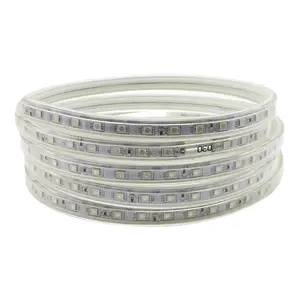 Hot bán 3014 trắng ấm trắng xanh đỏ 220V LED dải ánh sáng Kit/LED Strip Lights Đối với trang chủ cho phòng ngủ cho DIY trang trí