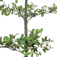 CHUANGFA 190cm Haie artificielle en plastique de haute qualité, style hawthorn de Hong Kong – Décorations murales réalistes pour Thanksgiving