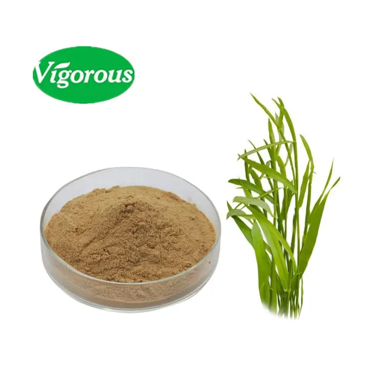 100% טהור בריאות מזון אורגני Elymus repens ספה דשא תמצית