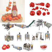 Professionele Fruitverwerkingsfabriek Tomatenpuree Maken Machine Goede Prijs Nieuwe Staat Tomatensausmachine