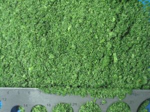 Sinocharm <span class=keywords><strong>IQF</strong></span> <span class=keywords><strong>Parsley</strong></span> Xắt Nhỏ Rau Mùi Tây Đông Lạnh Cắt Nhỏ - Product Image 3