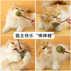 ของเล่นแมวแบบแท่งเคี้ยวแคทนิป ทำจากไม้ทนทาน พร้อมขนมรสพริกไทย สำหรับแมวเพลินกับการเล่นเอง แก้เบื่อ ขนมสำหรับสัตว์เลี้ยง - Product Image 4