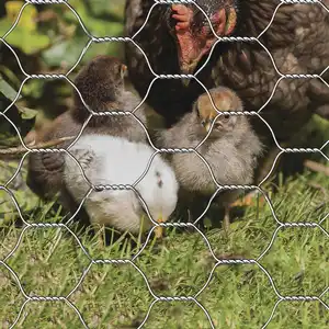 Leadwalking China Ss Chicken Wire Mesh Manufacturing Galvanized Hexagonal Wire Mesh Poultry Netting For Chicken Rabbit Goat