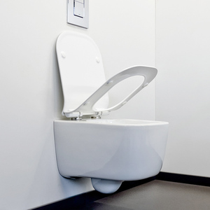 <span class=keywords><strong>WC</strong></span> <span class=keywords><strong>pour</strong></span> personnes à mobilité réduite, gris ciment, <span class=keywords><strong>WC</strong></span> <span class=keywords><strong>suspendu</strong></span> mural, cuvette abattante, projection 520 mm, en stock - Product Image 3