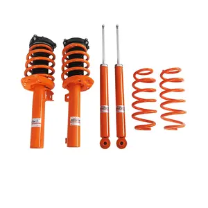EDDYSTAR top class high cost effective fashional coilovers for Volkswagen CC 1.8T/2.0T No inductance (B6)