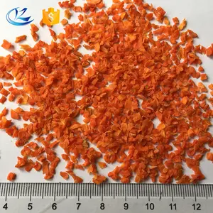 Vegetable Bulk Dehydrated Vegetable Carrot Falkes 5*5