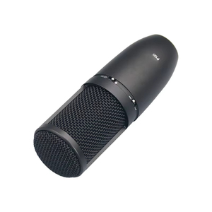 EIF avec diaphragme léger assure un son clair P120 Microphone à condensateur d'équipement de studio pour l'enregistrement et les performances scéniques - Product Image 4