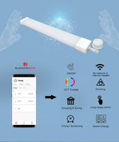 Impermeable 60cm 120cm 150cm Linear Batten IP65 LED Tri-Proof Lighting con 20W 40W 60W 5 años de garantía