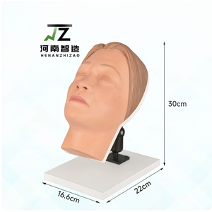 Modèle d'entraînement en silicone de tête humaine pour injections chirurgicales et cosmétiques avec nerfs faciaux et vaisseaux sanguins simulés - Product Image 1