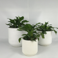 Pots de plantes vintage en fibre d'argile pour fleurs Pots de haute qualité durables jardinières décoratives en Offre Spéciale pots en gros pour fleurs