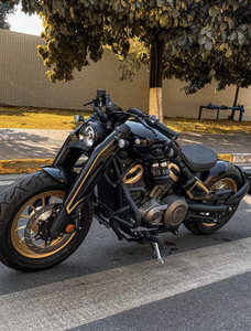 Nuevo Diseño de Motocicleta 2023 Nueva Benda Napoleon <span class=keywords><strong>450</strong></span> - Product Image 3
