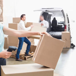 Sistema de Compras en Línea FTS, Logística DDP con Certificación ISO, Transporte Aéreo/Marítimo a Reino Unido/España/EE. UU./Canadá FTS - Product Image 1