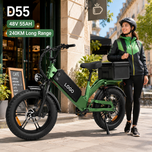 Bicicleta Eléctrica de Carga Personalizada de Fábrica D55 de 20 Pulgadas, 48V 55Ah, Largo Alcance 240KM, Cuadro de Aluminio, Freno de Disco, Suspensión Trasera, Bicicleta de Reparto - Product Image 1