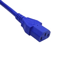 Câble d'extension d'alimentation verrouillable de sécurité IEC C14 C13 avec câble d'alimentation verrouillable pour centre de données