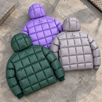 Veste d'hiver matelassée à capuche personnalisée par le fabricant, style streetwear, rembourrée, à fermeture éclair, courte, monochrome, en duvet, pour hommes