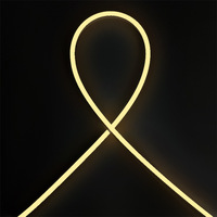 Fabricant de matériaux néon Repsn Sign Gen1.0 LED intégrée Neon Flex Lemon Yellow Silicone Neon Tubes 6*12mm