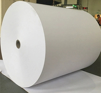 Papier Kraft Blanc Personnalisé Duplex C1S GC1 FBB avec Fond Gris et Revêtement PE en Rouleau pour Gobelets, Bols, Contenants, Emballages et Cartons