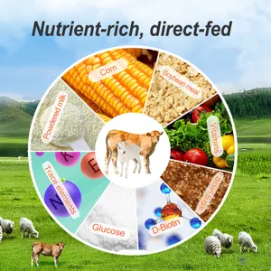 عالية البروتين الماشية تغذية الحيوانات العجول والحملان تغذية مفتوحة
