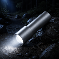 Lampe torche laser LED rechargeable XJ-L501 5W en alliage d'aluminium avec zoom télescopique Type-C, faisceau de 100-200m pour le camping, la randonnée et l'EDC