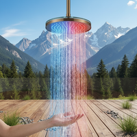 Pommeau de Douche Portable à Affichage LED avec Surveillance de Température en Temps Réel, Jets de Massage, Économie d'Eau Douce pour Usage Hôtelier