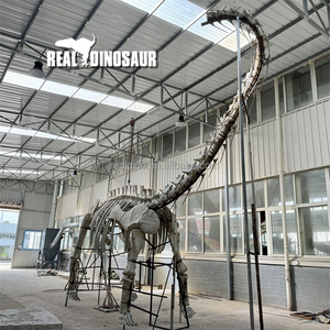 Xương Khủng Long <span class=keywords><strong>Brachiosaurus</strong></span> Chân Xương Sợi Thủy Tinh - Product Image 6