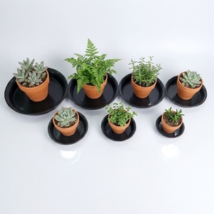 Custom Multi-Size Round White Ceramic <b>Planter</b> Saucers Glossy Flower Pot Drip Trays for Indoor Outdoor Garden Plant Protection - Product Image 5