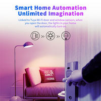 Compatible avec Alexa et Google Home Appareil intelligent personnalisable Ampoule intelligente populaire Ampoule à LED Tuya WiFi Lumière intelligente
