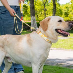 Eco-Friendly Luxury Simple Soft Durable Pet Leashes with <b>Scarf</b> and 100% Nylon for Outdoor Training and Night Safety - Product Image 2