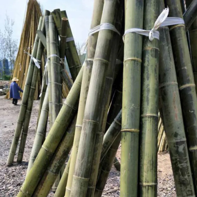 天然竹ポールトンキン杖建設用竹中国サプライヤー