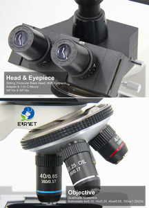 EUR VET Endoscopio Microscópico Veterinario, Endoscopio Médico para Mascotas, Sistema Endoscópico para Cirugía Animal, <span class=keywords><strong>Precio</strong></span> Competitivo - Product Image 2