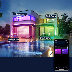 30W 48W wifi Dual mode RGB + CCT smart plafoniera con luce da soffitto a <span class=keywords><strong>Led</strong></span> rotonda montata su superficie remota - Product Image 5