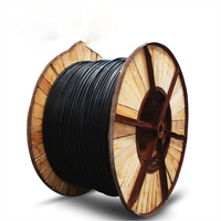 Kabel Listrik PVC Berinsulasi Harga Ekonomis, Konduktor Kawat Tembaga, Tegangan Rendah, Tahan Air untuk Konstruksi