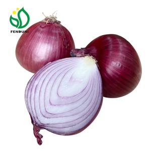 Holland Nieuwe Crop Rode Uien Goedkope Prijs Groothandel Maten 5-10Cm, 20Kg/25Kg Zakken Fob/Cfr/Cif - Product Image 3