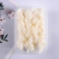 Flora Deed Bunga Pinus Penglai Kering yang Diawetkan Bahan DIY untuk Figurine Beruang Perlengkapan Aromaterapi Aksesoris Kotak Hadiah Gantungan