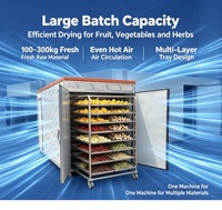Aanpasbare industriële voedseldroogapparatuur met digitale temperatuurregeling, fruit- en groentedroger, temperatuurinstelling