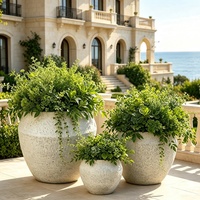 Ventes en gros de pots à fleurs en ciment pour l'extérieur/l'intérieur, légers, durables, ronds, sculptés à la main, pour villa, jardin, patio, hôtel