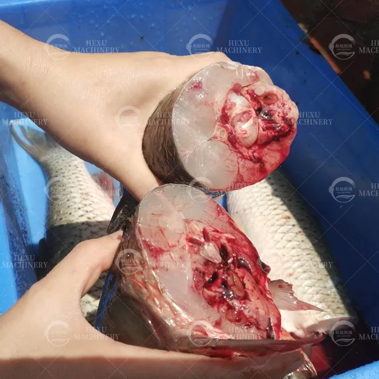 Tự động cá đầu cắt loại bỏ Cutter cá rô phi lê filleting máy/cá da Peeler cá Máy chế biến