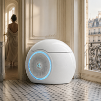 Toilette intelligente de luxe avec télécommande, bidet électronique, chasse d'eau automatique, forme sphérique, modèle œuf, en promotion