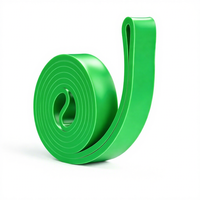 Bande de Résistance PULLUP DIP Extra Légère (Rouge) – Guide d'Exercices – Aide à la Traction pour Adultes avec Exercices d'Étirement et de Calisthénie