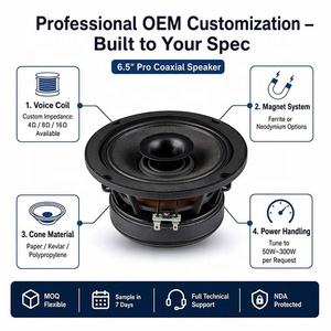 Altavoz Coaxial Profesional para Auto de 6.5 Pulgadas, 100W, Imán de Ferrita, Impermeable, Cono de Papel, Borde de Tela, OEM Personalizable - Product Image 2