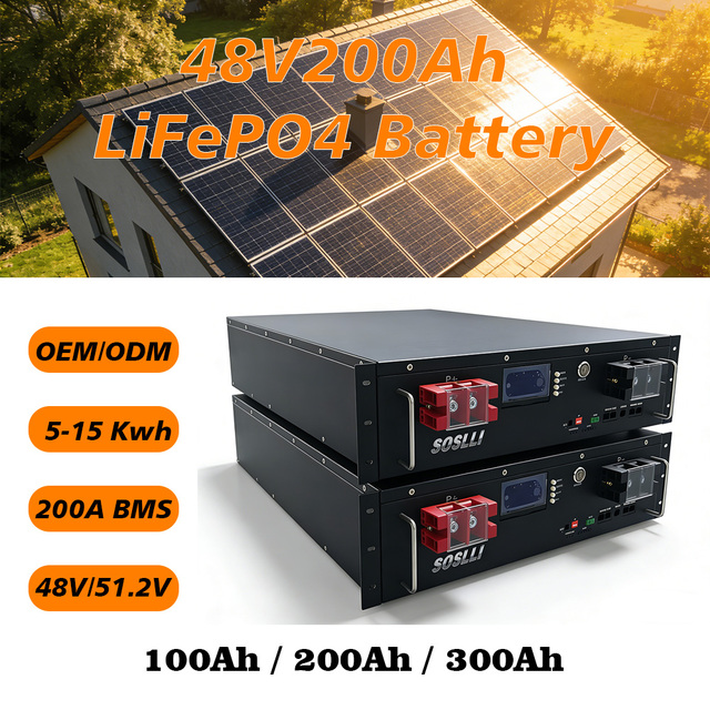 Premium 48V 100Ah 200Ah LiFePO4 Battery Pack Rack Mount Solar Energy Storage for Medical Emergency System Telecom Base Station