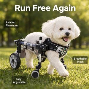 <span class=keywords><strong>Chariot</strong></span> pliable et réglable <span class=keywords><strong>pour</strong></span> animaux de compagnie EUR VET à 2 roues / Fauteuil roulant <span class=keywords><strong>pour</strong></span> chiens à pattes arrière - Écologique, capacité 20 kg, <span class=keywords><strong>pour</strong></span> chiens à pattes arrière handicapées - Product Image 3