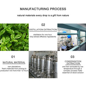 Hương thảo Tinh dầu cho kháng khuẩn chống viêm kích thích chăm sóc da sử dụng - Product Image 5