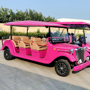 ZOWN Retro Vintage Electric Tour Car Low Speed Sightseeing Shuttle Cart Resort Villa Campus Real Estate Tourist Transport <b>Buggy</b> - Product Image 1