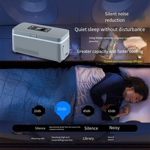 ChiYu Semiconductor - Glacière portable isotherme <span class=keywords><strong>pour</strong></span> insuline, mini-réfrigérateur <span class=keywords><strong>de</strong></span> <span class=keywords><strong>voyage</strong></span> 12V <span class=keywords><strong>pour</strong></span> voiture et maison, boîte <span class=keywords><strong>de</strong></span> refroidissement médicale rechargeable - Product Image 2