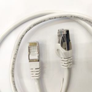 Câble de raccordement Ethernet 1m CAT6a avec paires torsadées blindées (S/FTP) Fiches RJ45 - Product Image 2