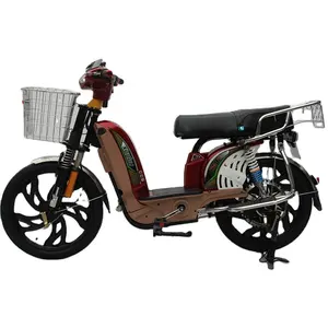 High quality 12 Speed e cargo bike family long range electric bike